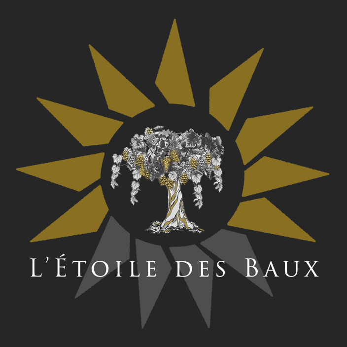 logo etoile des baux logo etoile des baux